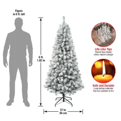 Sale 6 ft. Acacia Flocked Tree Full|Unlit