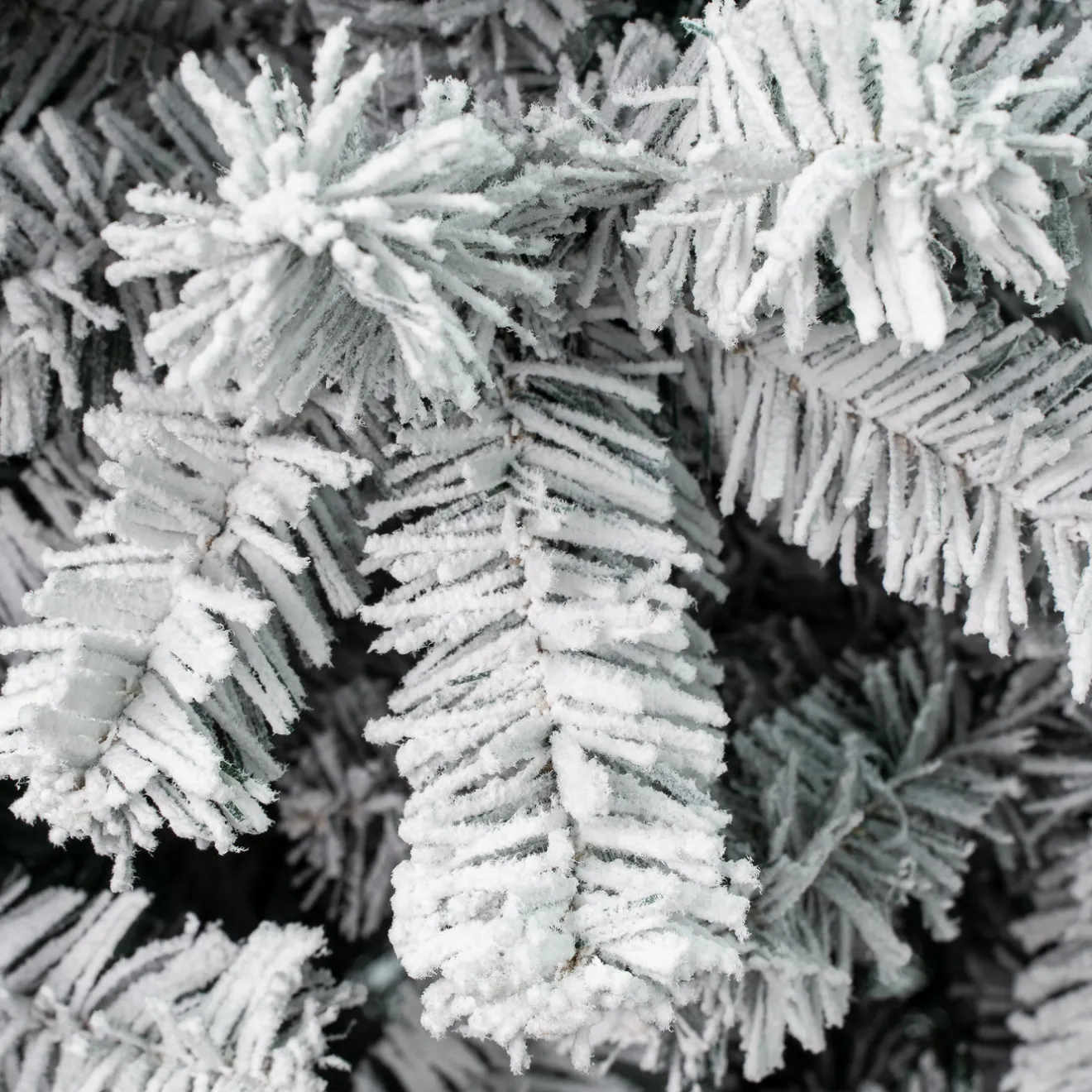 Hot 7.5 ft. Acacia Pencil Slim Flocked Tree Pencil Slim|Unlit