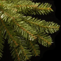 Discount 12 ft. Dunhill Fir Tree 12 Feet And Taller|Full