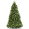 14 ft. Dunhill Fir Tree Full|Unlit