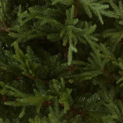 Best 7.5 ft. Fraser Grande Tree Full|Unlit