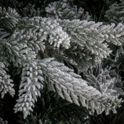 Clearance 7.5 ft. Holliston Tree Full|Unlit
