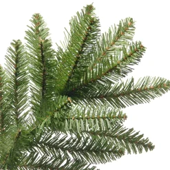 Clearance 6 ft. Kingswood Fir Pencil Tree Pencil Slim|Unlit