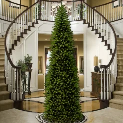 New 14 ft. Kingswood Fir Pencil Slim Tree Pencil Slim|Unlit