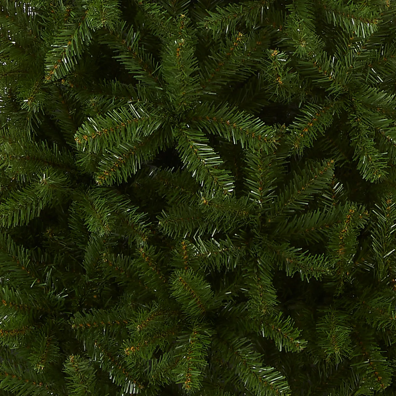Online 7.5 ft. Kingswood Fir Pencil Tree Pencil Slim|Unlit