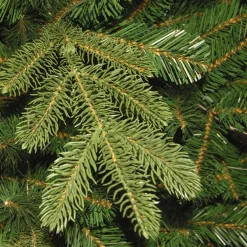 New 7.5 ft. Norwegian Spruce Tree Full|Unlit