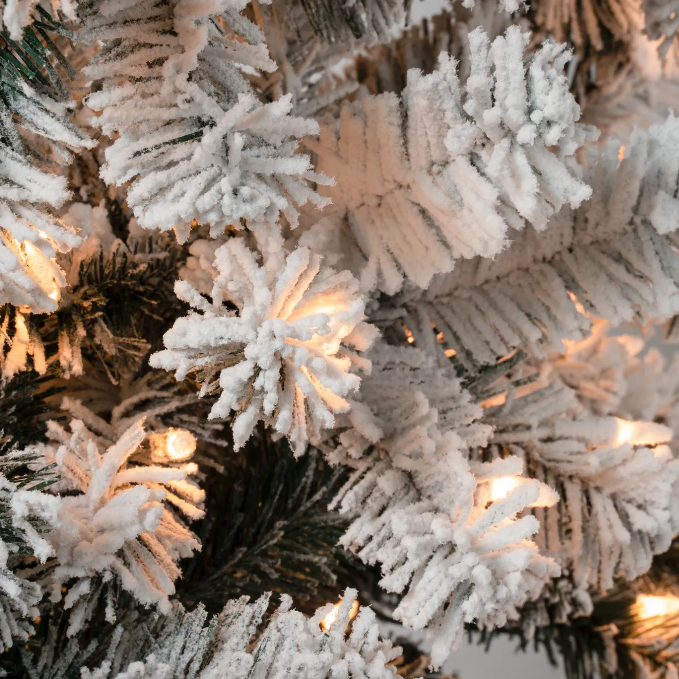Clearance 6 ft. Pre-Lit Acacia Pencil Slim Flocked Tree with Clear Lights Pencil Slim|Pre-Lit