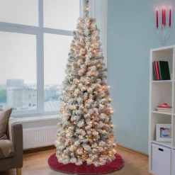 Clearance 6 ft. Pre-Lit Acacia Pencil Slim Flocked Tree with Clear Lights Pencil Slim|Pre-Lit