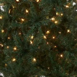 Outlet 6 ft. Pre-Lit Acacia Tree with Clear Lights Pre-Lit|Full