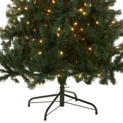 Outlet 6 ft. Pre-Lit Acacia Tree with Clear Lights Pre-Lit|Full