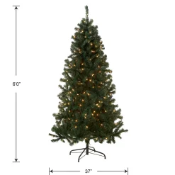 Outlet 6 ft. Pre-Lit Acacia Tree with Clear Lights Pre-Lit|Full