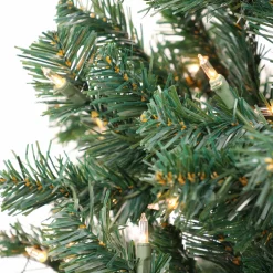 Outlet 6 ft. Pre-Lit Acacia Tree with Clear Lights Pre-Lit|Full