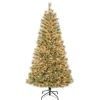 Sale 6 ft. Pre-Lit Arcadia Pine Cashmere with Clear Lights Full|Pre-Lit