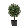 Hot 2 ft. Pre-Lit Boxwood Single Ball Topiary in Black Nursery Pot with Clear Lights Topiaries & Shrubs