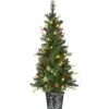 Discount 5 ft. Pre-Lit Buzzard Pine Slim Tree with LED Lights Slim|Pre-Lit