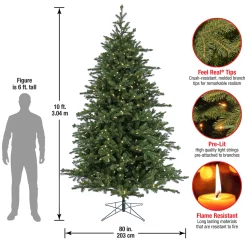 Sale 10 ft. Pre-Lit Douglas Fir Hinged Tree with Warm White LED Lights Pre-Lit|Full