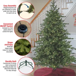 Sale 10 ft. Pre-Lit Douglas Fir Hinged Tree with Warm White LED Lights Pre-Lit|Full