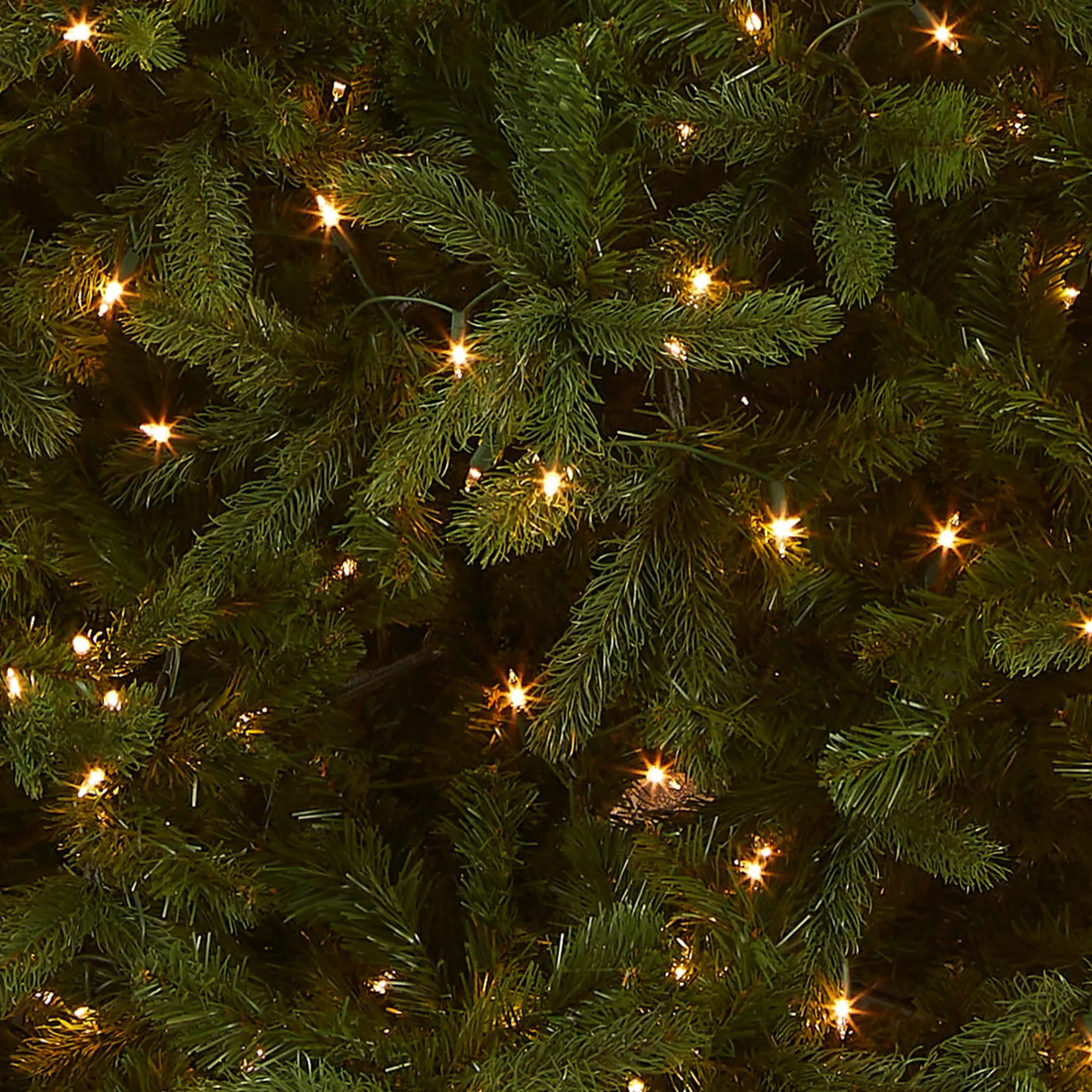 New 12 ft. Pre-Lit Downswept Douglas Fir Tree with Clear Lights Full|Pre-Lit