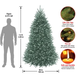 Online 7.5 ft. Pre-Lit Dunhill Fir Blue Tree with Clear Lights Full|Pre-Lit