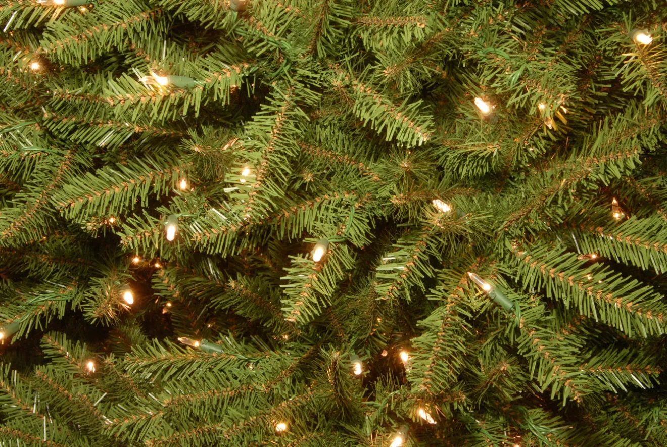 Sale 12 ft. Pre-Lit Dunhill Fir Tree with PowerConnect Dual Color LED Lights Full|10 To 11.5 Feet