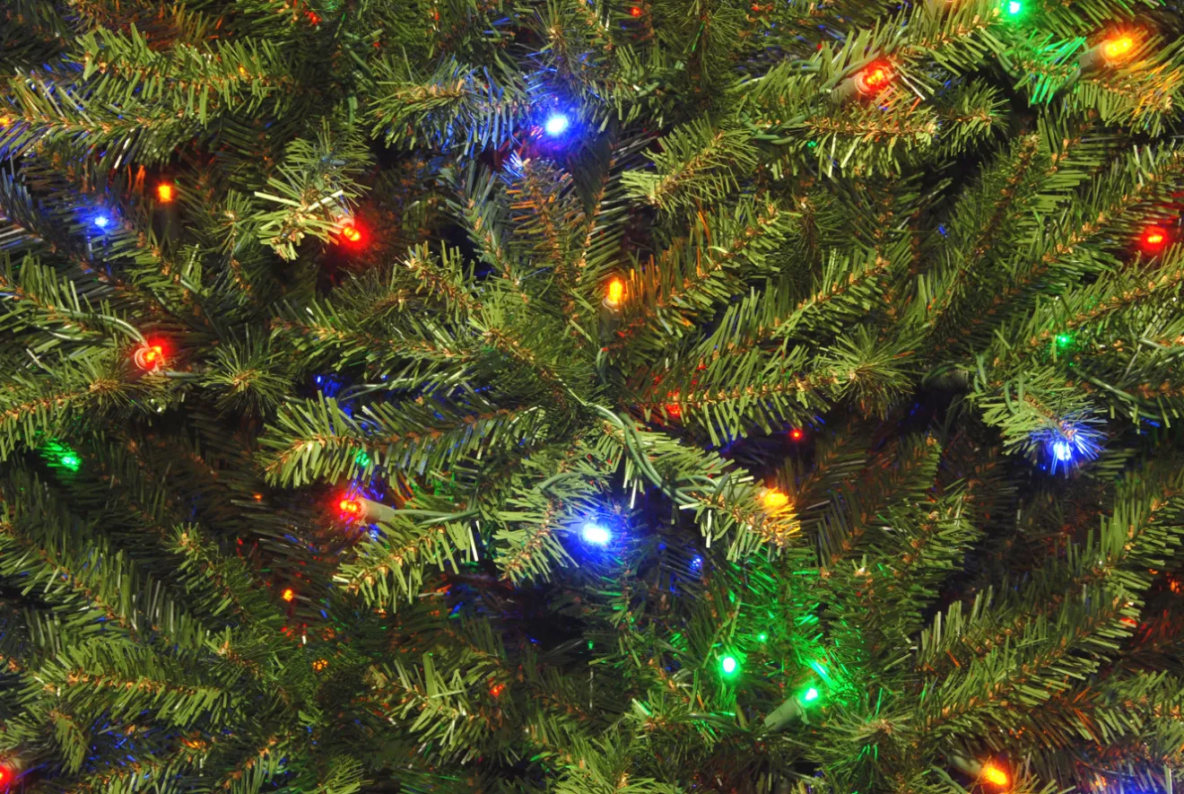 Sale 12 ft. Pre-Lit Dunhill Fir Tree with PowerConnect Dual Color LED Lights Full|10 To 11.5 Feet