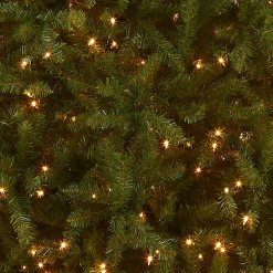 Outlet 10 ft. Pre-Lit Dunhill Fir Tree with Clear Lights Full|Pre-Lit