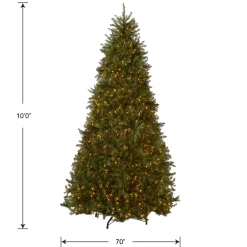 Outlet 10 ft. Pre-Lit Dunhill Fir Tree with Clear Lights Full|Pre-Lit