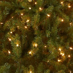 Best 6.5 ft. Pre-Lit Dunhill Fir Tree with Clear Lights Full|Pre-Lit