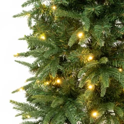 Outlet 6 ft. Pre-Lit Duxbury Feel Real Slim Tree with LED Lights Slim|Pre-Lit