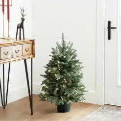 3 ft. Pre-Lit Everyday Collection Tree with Clear Lights Entrance|Pre-Lit