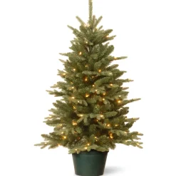 3 ft. Pre-Lit Everyday Collection Tree with Clear Lights Entrance|Pre-Lit
