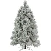 Online 7.5 ft. Pre-Lit Flocked Bavarian Pine Tree Pre-Lit|Full