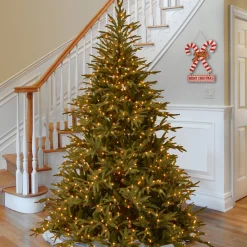 9 ft. Pre-Lit Fraser Grande Tree with Dual Color LED Lights Full|Pre-Lit