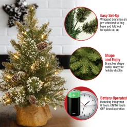 Clearance 2 ft. Pre-Lit Glittery Bristle Tree with LED Lights Tabletop|Pre-Lit