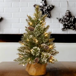 Clearance 2 ft. Pre-Lit Glittery Bristle Tree with LED Lights Tabletop|Pre-Lit