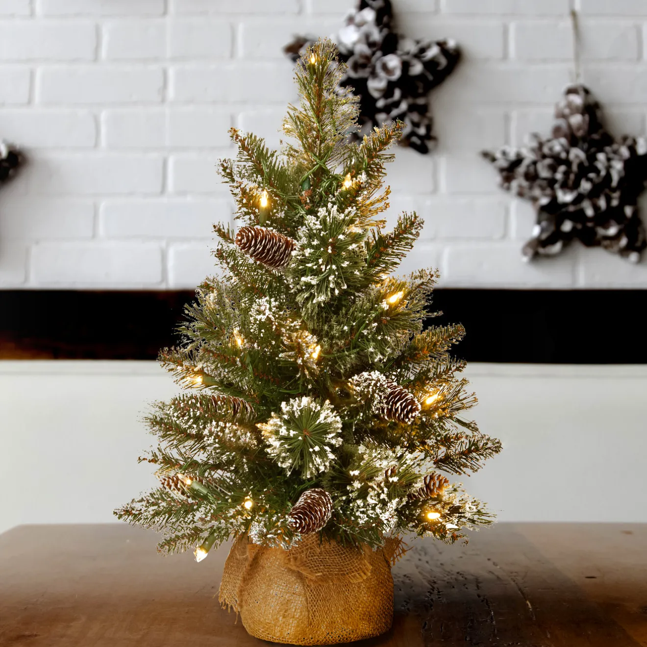 Clearance 2 ft. Pre-Lit Glittery Bristle Tree with LED Lights Tabletop|Pre-Lit