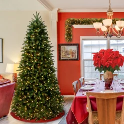 Online 6.5 ft. Pre-Lit Jersey Fraser Fir Slim Tree with Clear Lights Pre-Lit|Slim