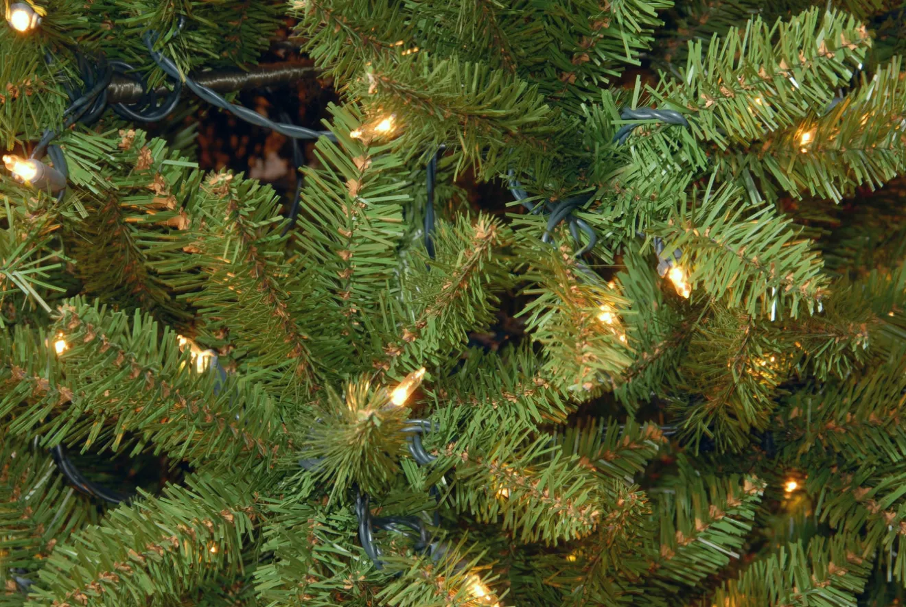 Discount 9 ft. Pre-Lit Kingswood Fir Pencil Tree with Clear Lights Pencil Slim|Pre-Lit