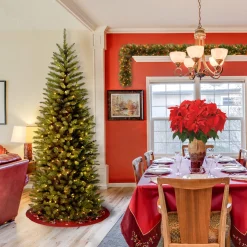 New 6 ft. Pre-Lit Kingswood Fir Pencil Tree with Clear Lights Pencil Slim|Pre-Lit