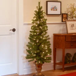 Hot 5 ft. Pre-Lit Montclair Spruce Slim Tree with Clear Lights Entrance|Pre-Lit