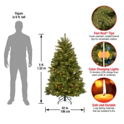 Discount 5 ft. Pre-Lit Newberry Spruce Tree with Dual Color LED Lights Full|Pre-Lit