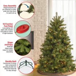 Discount 5 ft. Pre-Lit Newberry Spruce Tree with Dual Color LED Lights Full|Pre-Lit