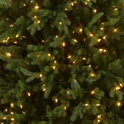 7.5 ft. Pre-Lit Princeton Fraser Fir Tree with PowerConnect and 800 Dual Color LED Lights Full|Pre-Lit