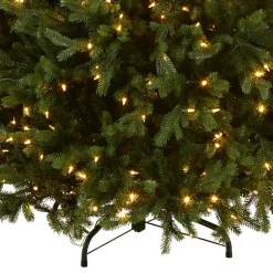 7.5 ft. Pre-Lit Princeton Fraser Fir Tree with PowerConnect and 800 Dual Color LED Lights Full|Pre-Lit