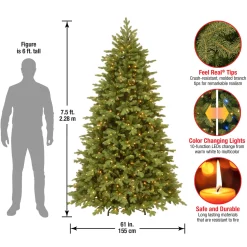 7.5 ft. Pre-Lit Princeton Fraser Fir Tree with PowerConnect and 800 Dual Color LED Lights Full|Pre-Lit