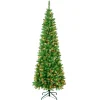Clearance 7.5 ft. Pre-Lit Rowan Pencil Slim Tree with Multicolor Lights Slim|Pre-Lit
