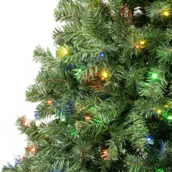 Clearance 6 ft. Pre-Lit Sagamore Tree with Multi LED Lights Full|Pre-Lit
