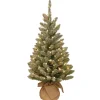 Best 3 ft. Pre-Lit Snowy Concolor Fir Tree with LED Lights Tabletop|Full