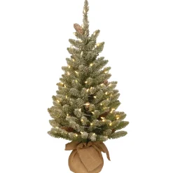 Best 3 ft. Pre-Lit Snowy Concolor Fir Tree with LED Lights Tabletop|Full
