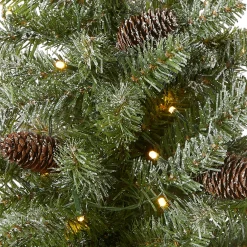 Outlet 2 ft. Pre-Lit Snowy Concolor Fir Tree with LED Lights Tabletop|Pre-Lit